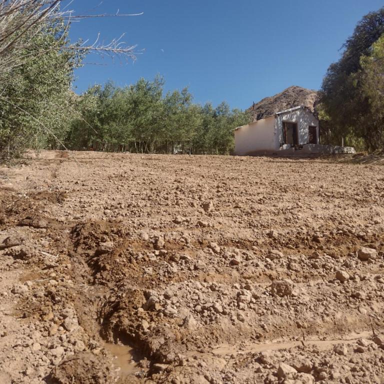 Dormir con llamas - One-Bedroom Chalet - 24