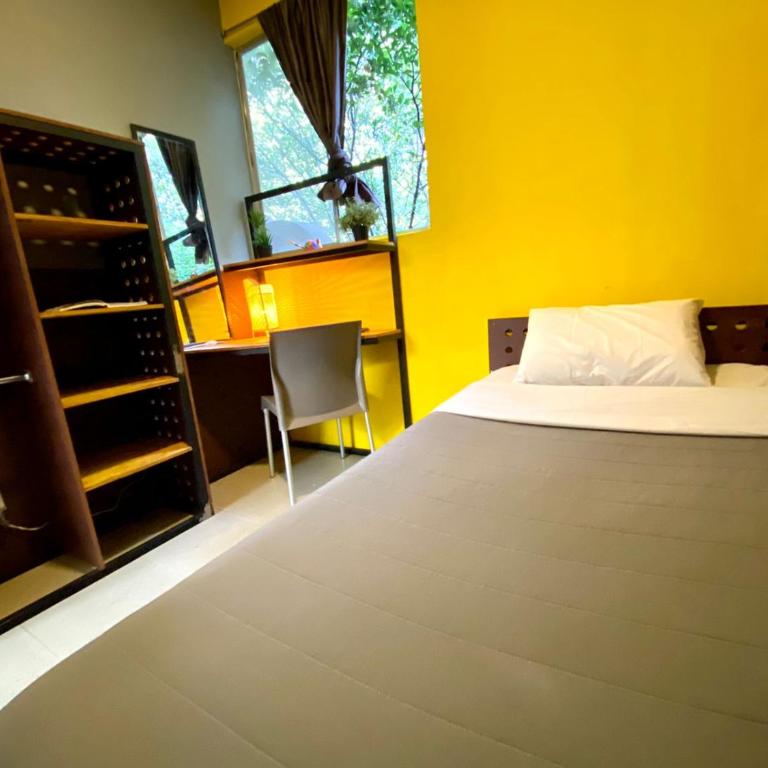 ROOMIES HOSTEL Parque México - Single Room with Shared Bathroom - 10