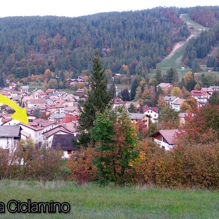 Casa Ciclamino - Apartment mit 1 Schlafzimmer - 4