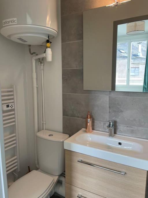 T2 4 pers face gare SNCF Appart Hotel le Cygne 5 - Appartement 1 Chambre - 4