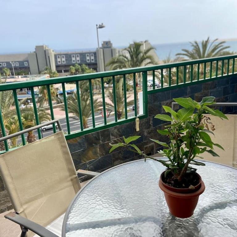 Apartamento vista mar en Flamboyan - San Agustín - One-Bedroom Apartment - 20