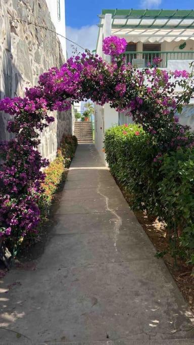 Apartamento vista mar en Flamboyan - San Agustín - One-Bedroom Apartment - 21