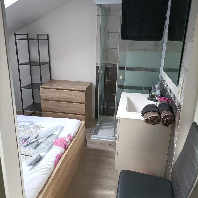 F1 en duplex coquelicot - Apartamento de 1 dormitorio - 14