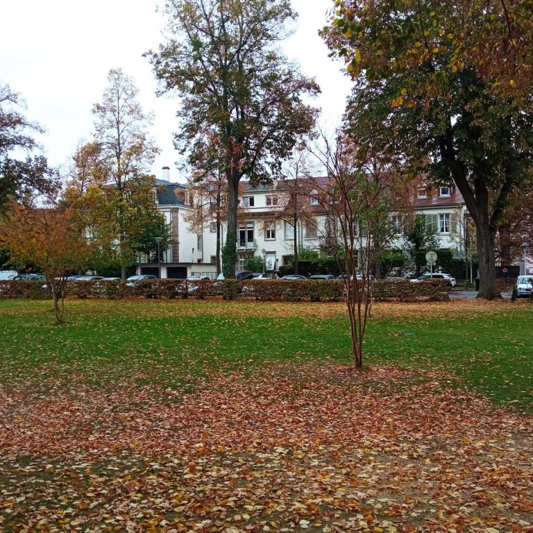 Rare à Colmar - Appartement Champ de Mars vue sur Parc - 70m2 - 2 chambres - Apartment mit 2 Schlafzimmern - 20