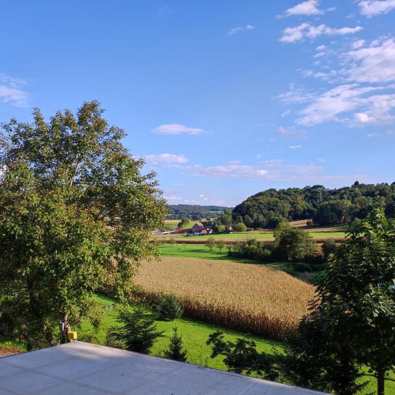 Ferienhaus am Himberg - Studio mit Gartenblick - 25