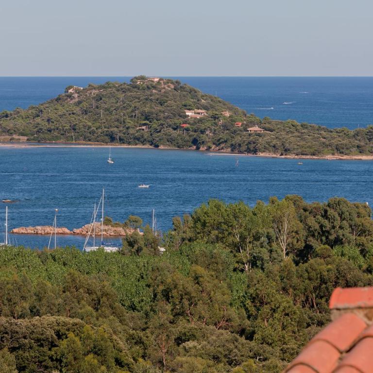 Royal Palm - Appartement 1 Chambre - Vue sur Mer - 8