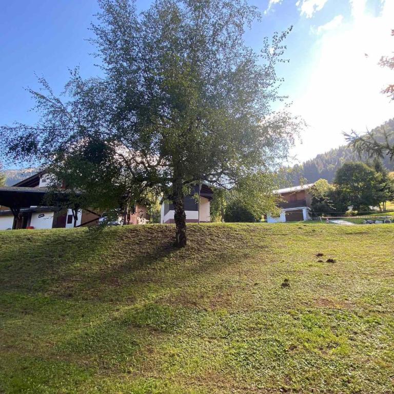 Charmant 2 pièces avec balcon, parking, proche des pistes - La Clusaz - FR-1-459-34 - Apartment (6 Erwachsene) - 13