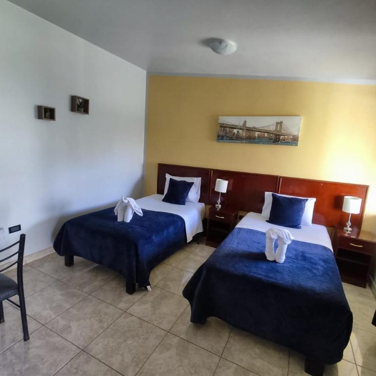 Casa Baraquel - Standard Double or Twin Room with Garden View - 4