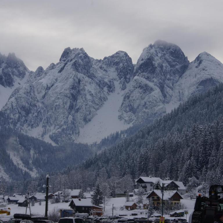Chalet Gamsjäger - Chalet - 35