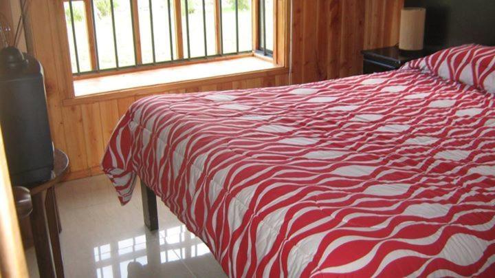Bosques del Claro Sur - Bungalow - 15