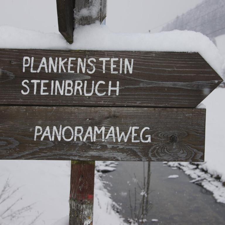 Chalet Gamsjäger - Chalet - 33