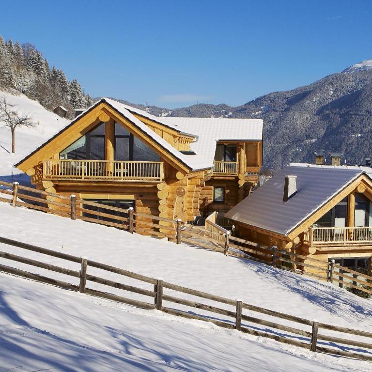 TyroLadis - Chalet 2 Chambres - 4