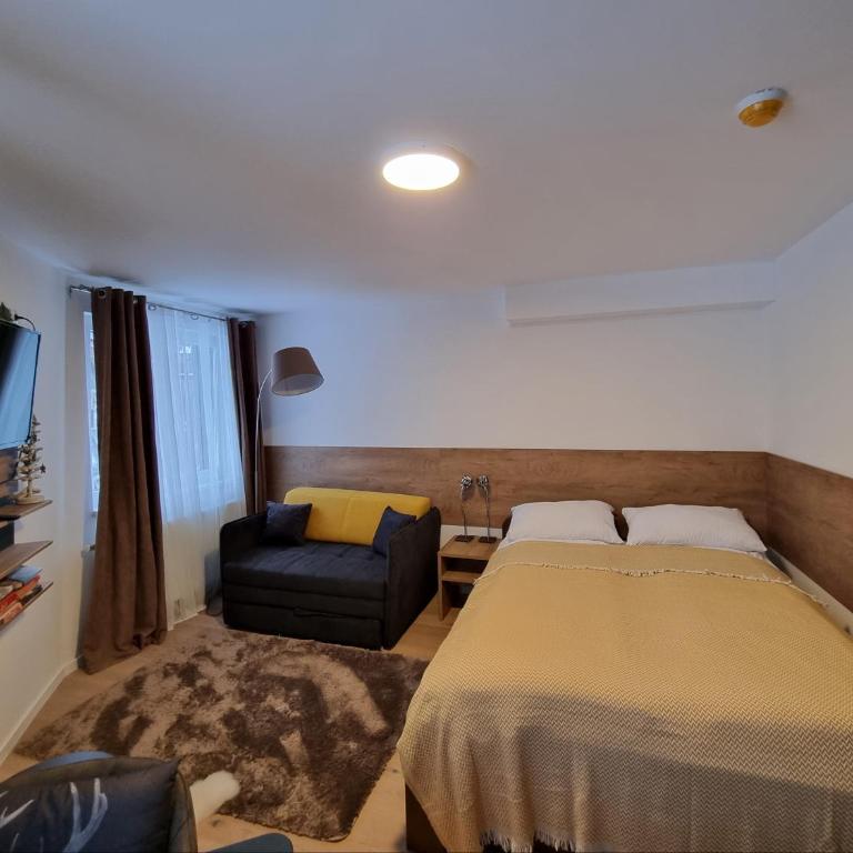 Olimpijska kuća - Deluxe Studio - 4