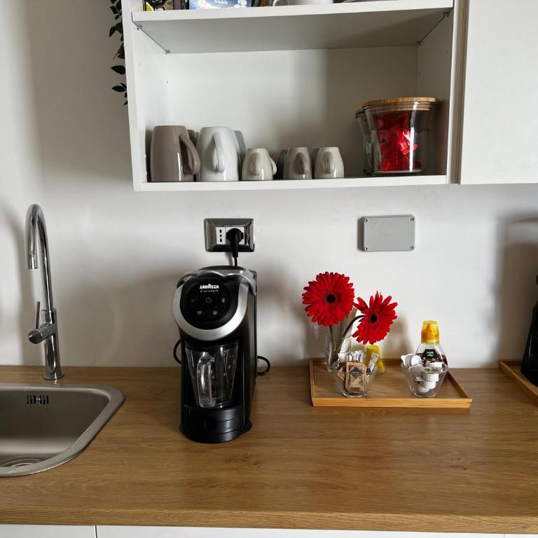 Sea fly guest house - Camera Matrimoniale - 14