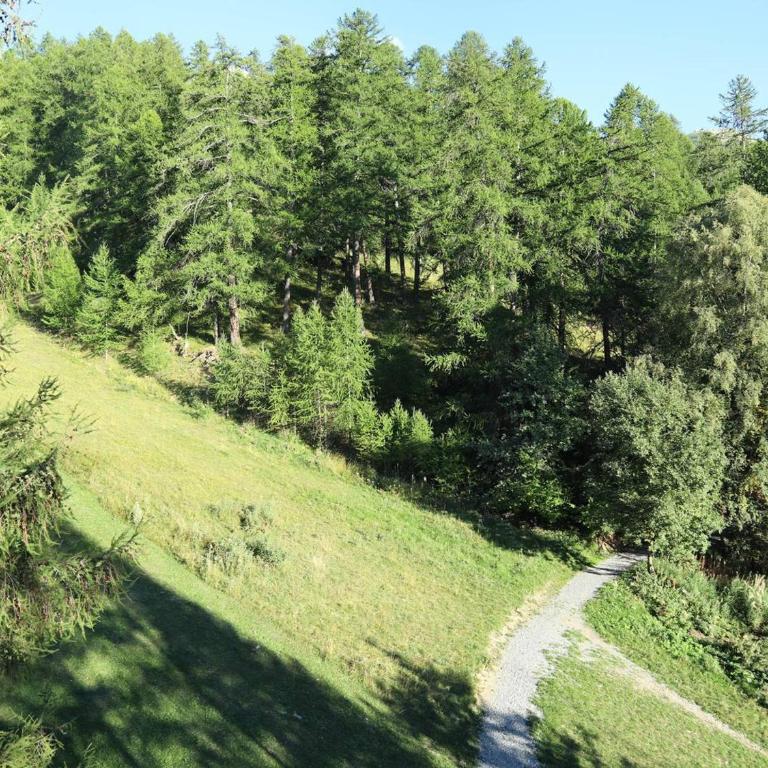 Studio familial 4 pers, skis aux pieds, proche centre - FR-1-322-229 - Apartment (4 Erwachsene) - 4
