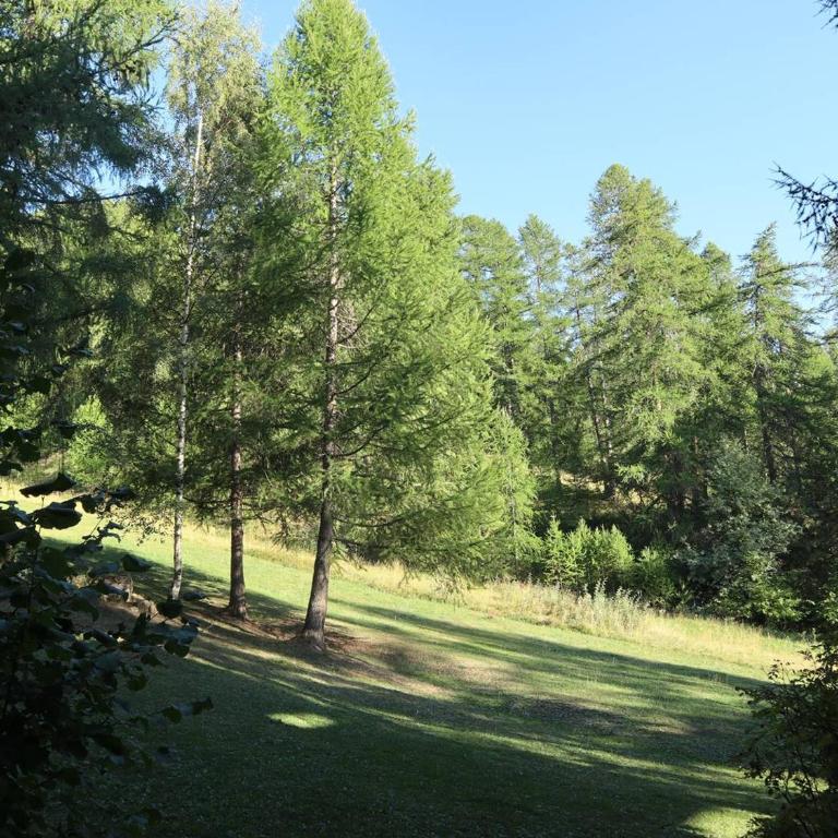 Grand appart rénové pour 8 pers, accès direct pistes, 1 ch, animaux ok - FR-1-322-233 - Apartment (6 Erwachsene) - 9