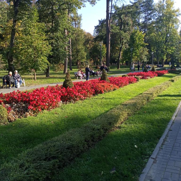 Apartman Point - Apartman sa 1 Spavaćom Sobom - 54