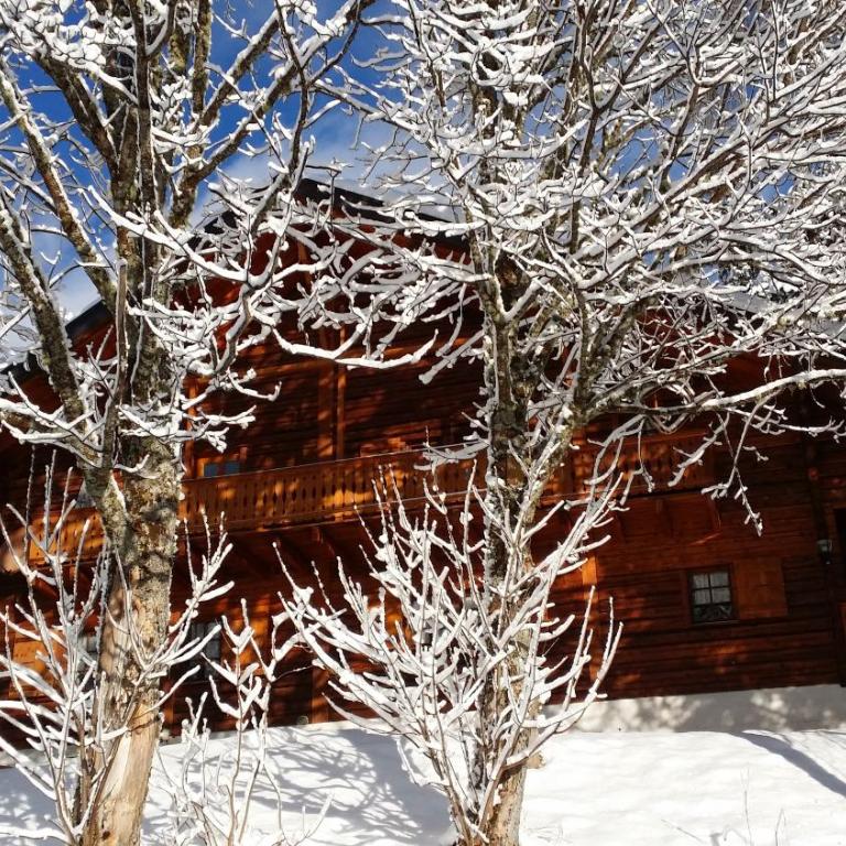Appartement - dans le chalet Carmazin - Two-Bedroom Chalet - 18