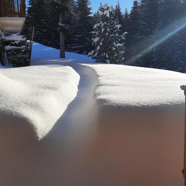 Appartement - dans le chalet Carmazin - Two-Bedroom Chalet - 19