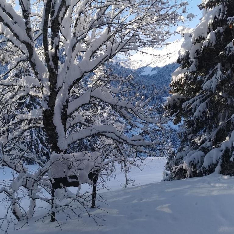 Appartement - dans le chalet Carmazin - Two-Bedroom Chalet - 20