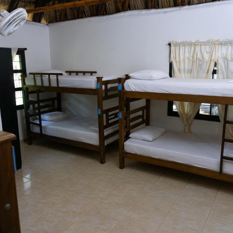 Dreamer Palomino - Cama en habitación compartida de 8 camas - 1
