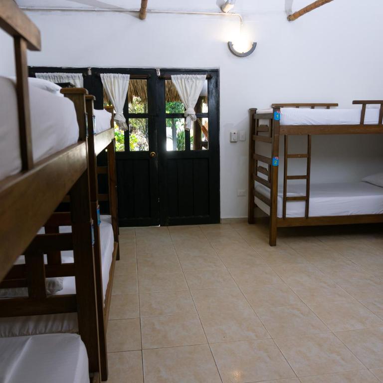 Dreamer Palomino - Cama en habitación compartida de 8 camas - 4