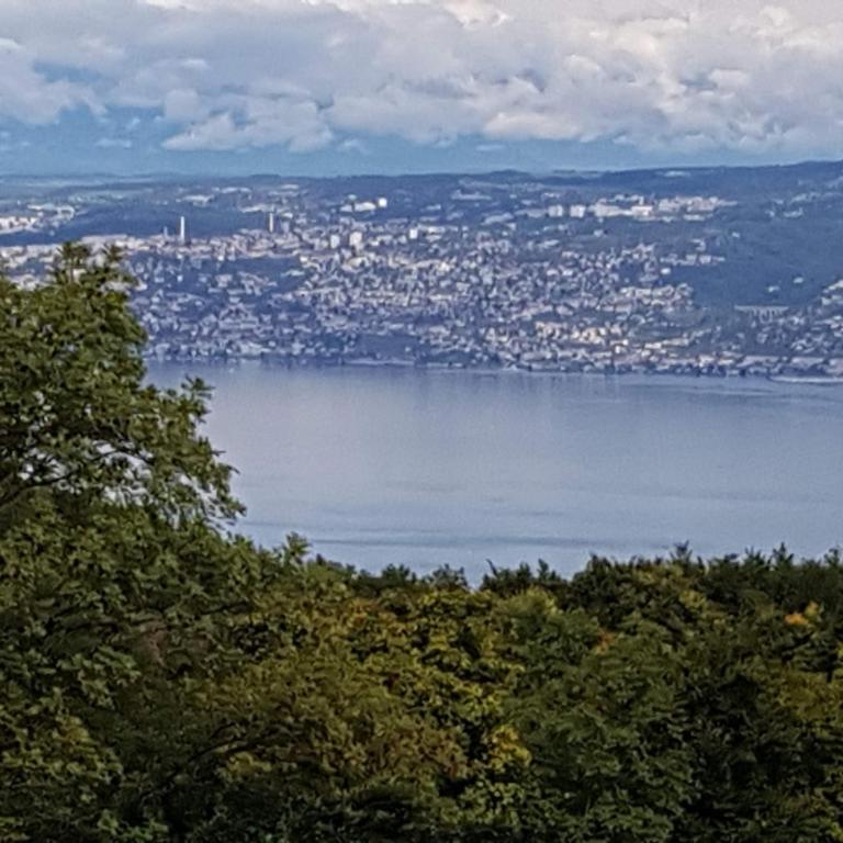 SUPERBE APPARTEMENT T2 3 ETOILES 40m2 PIED DES PISTES VUE SUR LE LAC - Appartement 1 Chambre - 6