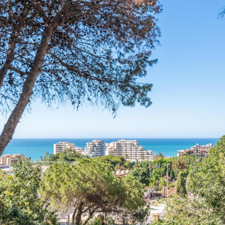 Hercules Playa - Apartamento de 1 dormitorio - 21