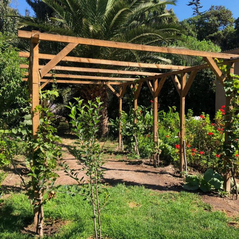 Cabañas en la naturaleza a pasos de la Playa - Casa con 1 dormitorio - 11