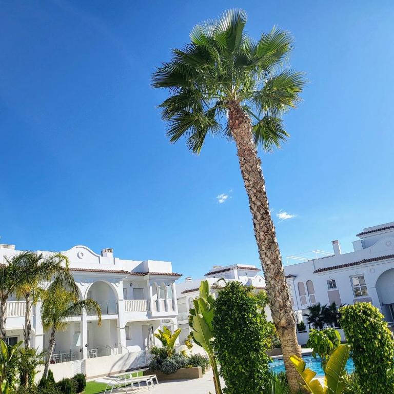 Premium Ferienwohnung: Allegra - Alba - Residential - Appartamento con 3 Camere da Letto - 32