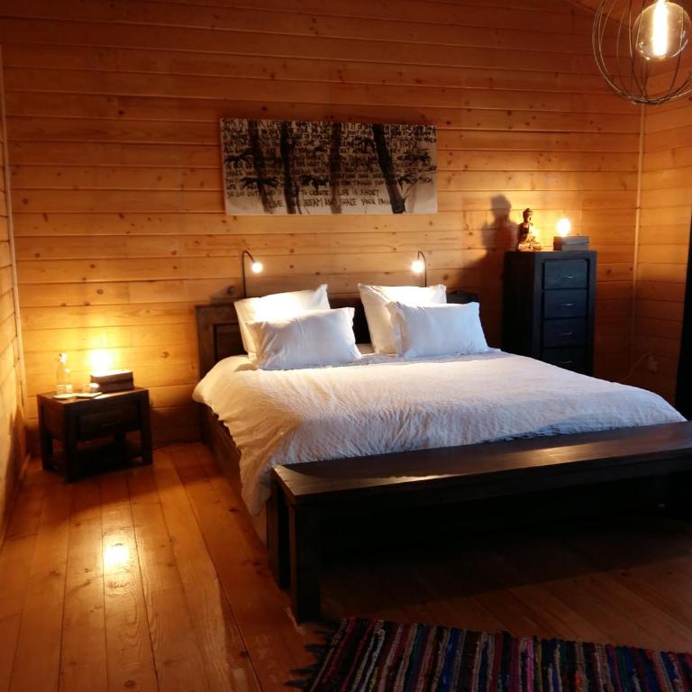 Ecolodge Bellevue ALBI - Chambre Double Supérieure - 3