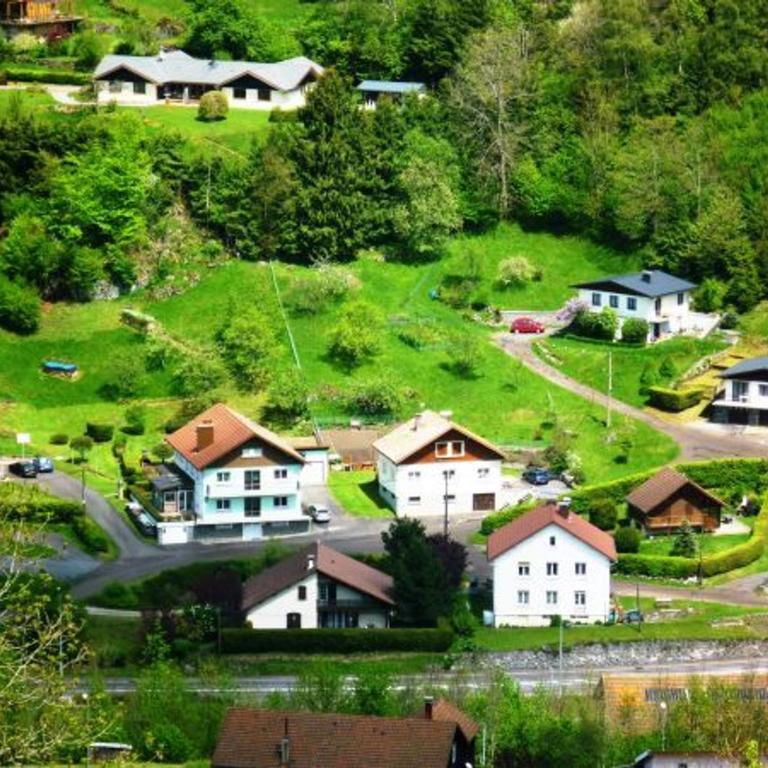 Gîte confortable à La Bresse, proche centre-ville, nature et activités - FR-1-589-97 - Maison de Vacances (4 Adultes) - 7