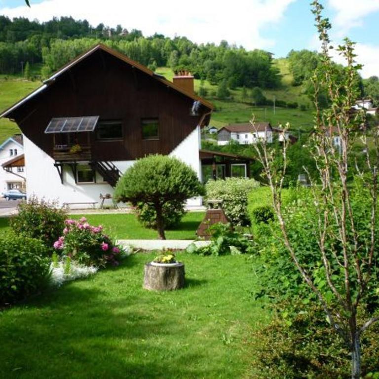 Gîte confortable à La Bresse, proche centre-ville, nature et activités - FR-1-589-97 - Maison de Vacances (4 Adultes) - 8