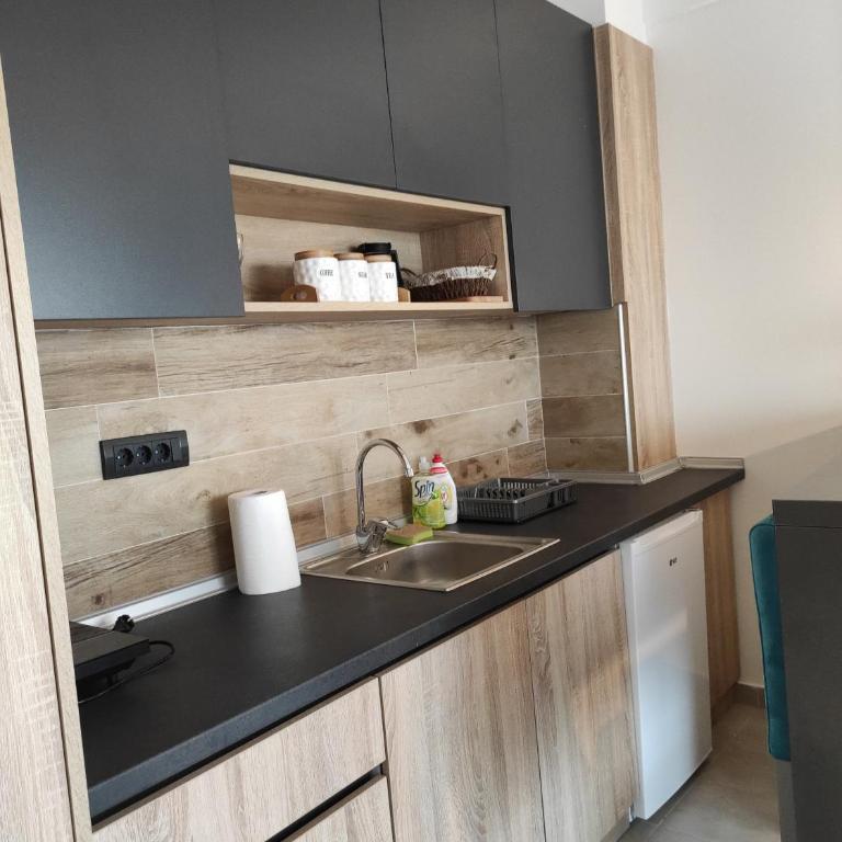 Apartman N99 Milmari Kopaonik - One-Bedroom Apartment - 8