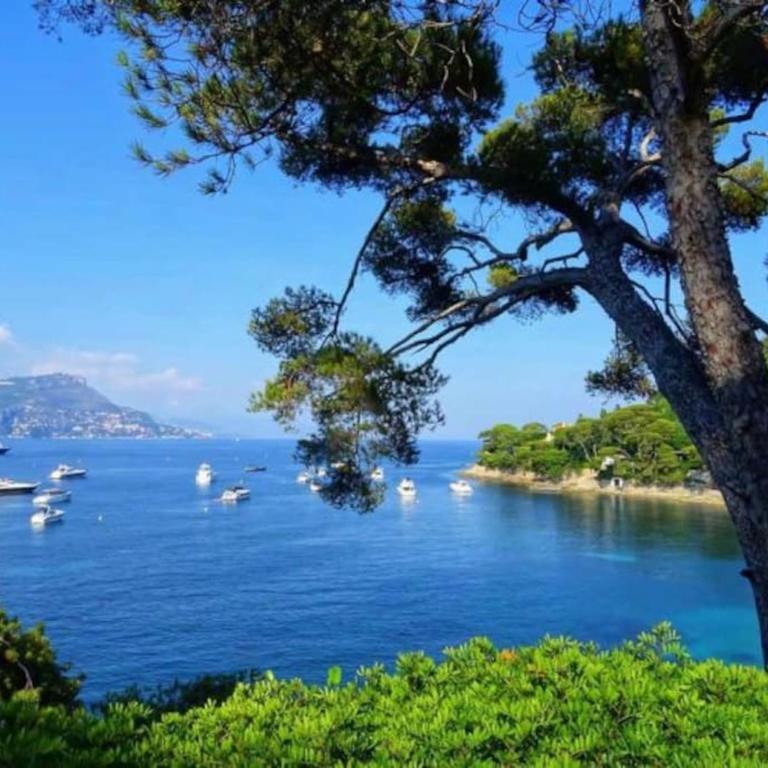 2P neuf au Coeur de St Jean Cap Ferrat - Appartement 1 Chambre - 19
