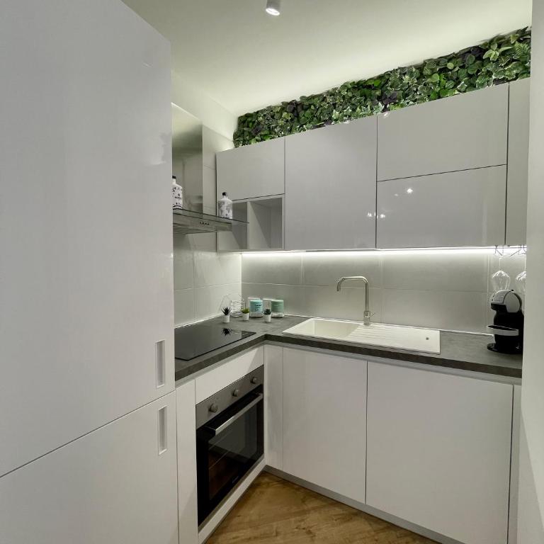ALBARIA ROOMS-APARTMENTS - Appartamento con Terrazza - 7