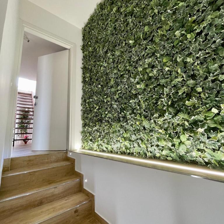 ALBARIA ROOMS-APARTMENTS - Appartamento con Terrazza - 8