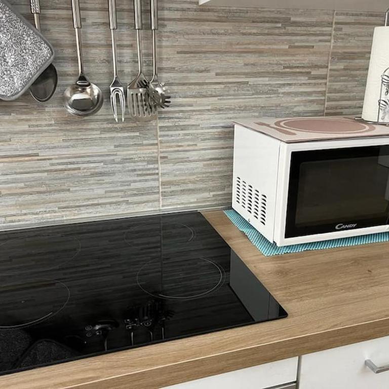 ATTICO BRICCARELLO -Intero Appartamento- Elegant Suite with FREE WIFI, near Inalpi Arena and Sporting Club Torino-Olimpyc Stadium - Appartamento con 1 Camera da Letto - 22