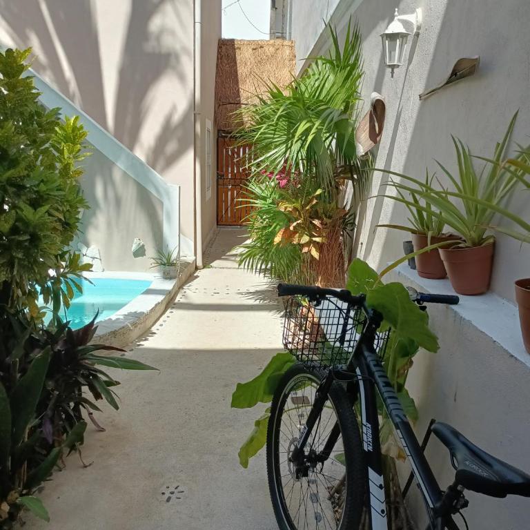 Kika Studios - Deluxe Triple Room - 7