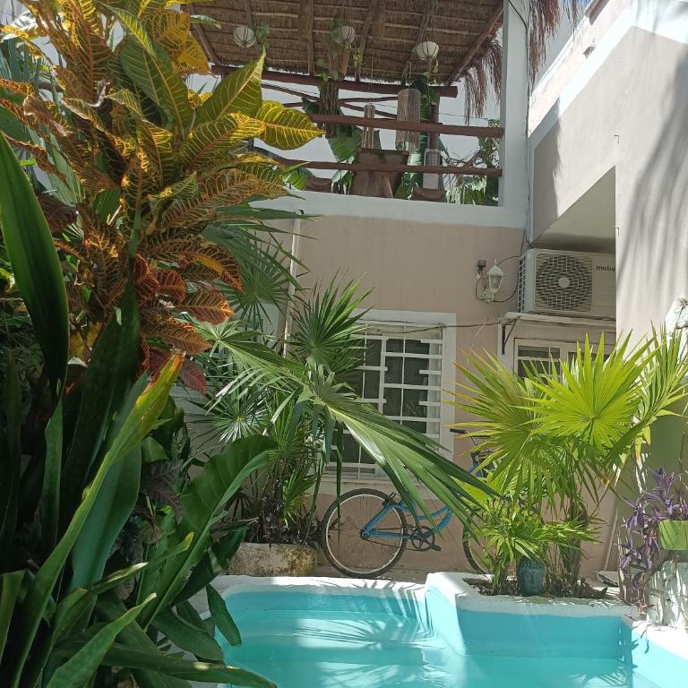 Kika Studios - Deluxe Triple Room - 10