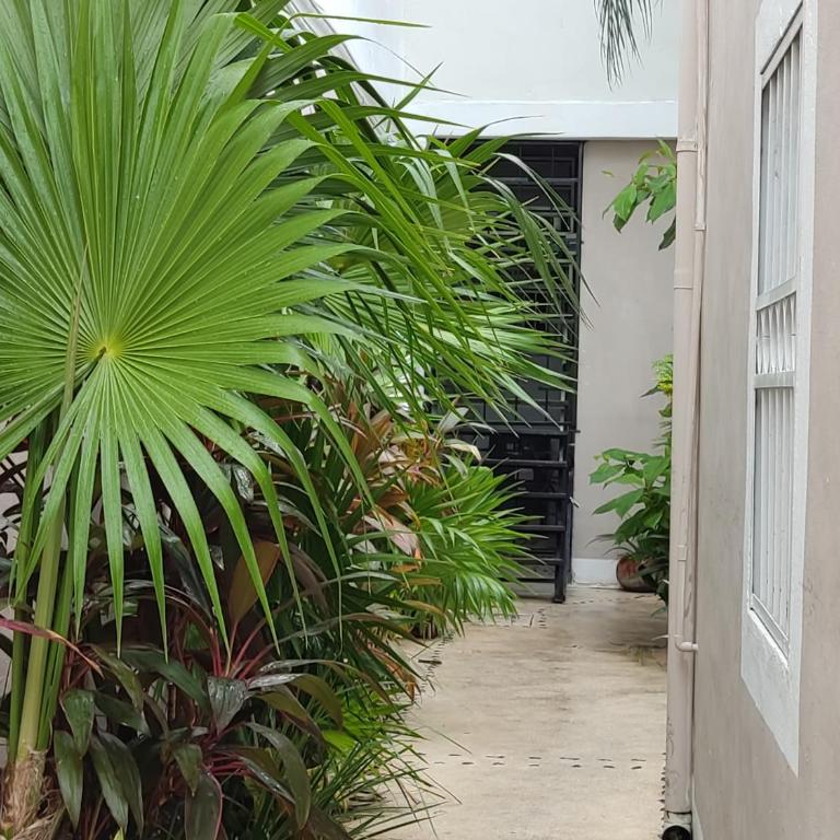 Kika Studios - Comfort Triple Room with Shower - 14