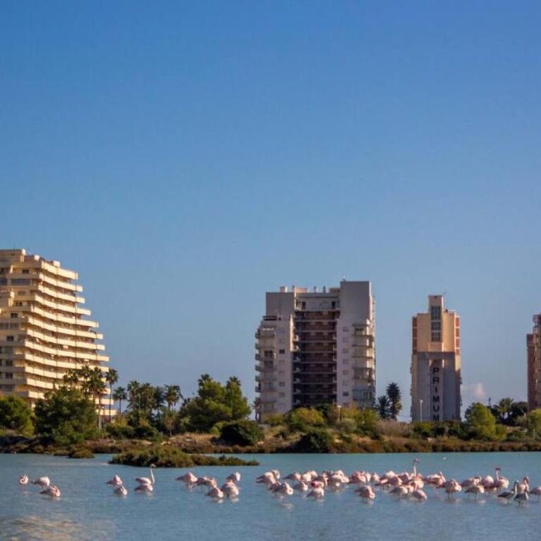 Beach Studio Calpe Port - Apartamento de 1 dormitorio - 15