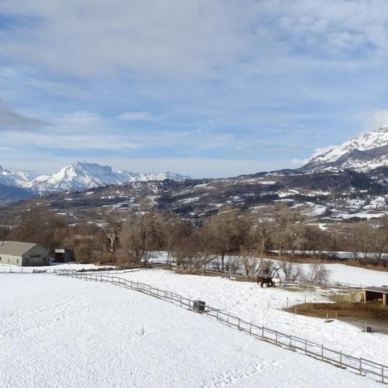 Appartement offrant une magnifique vue des montagnes - Appartement 1 Chambre - 16