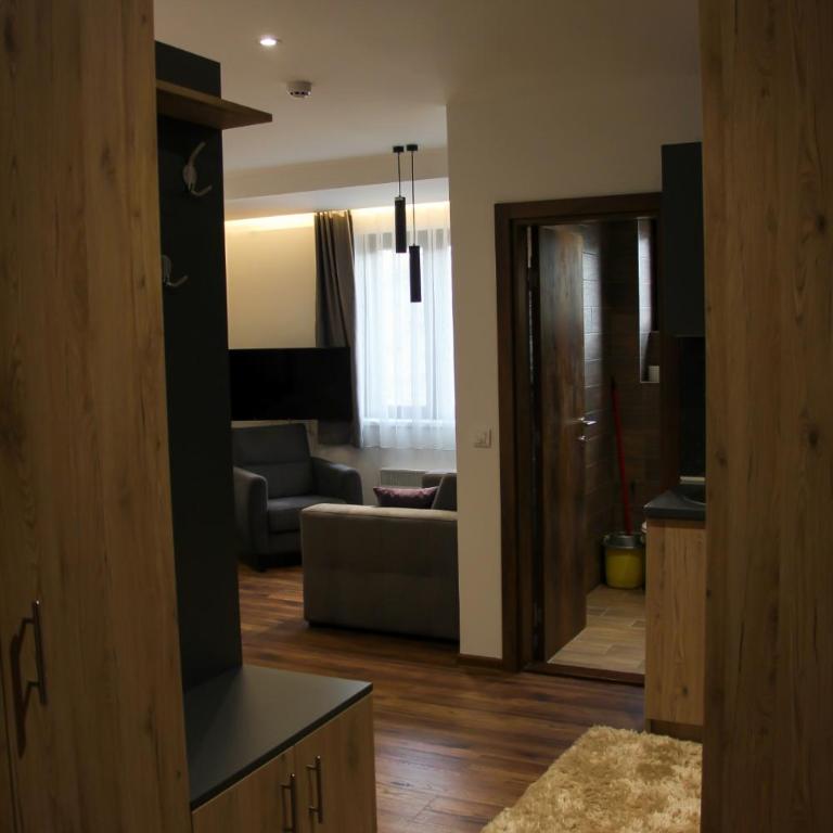Apartmani Sorak Kopaonik, Studio Apartman A10 - Studio - 4
