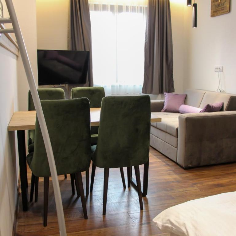 Apartmani Sorak Kopaonik, Studio Apartman A10 - Studio - 9