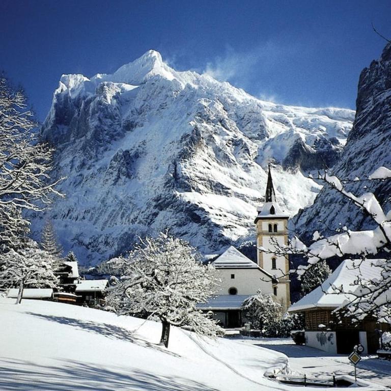 Wengen Ski Cup Lauberhorn flat available - Apartment mit 2 Schlafzimmern - 9