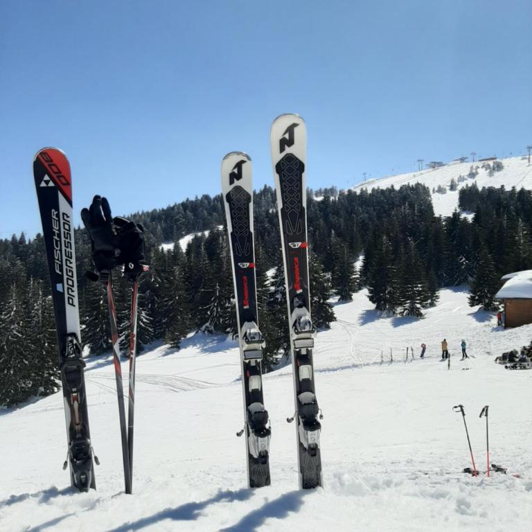 Mountain angel - Apartman sa 1 Spavaćom Sobom - 41