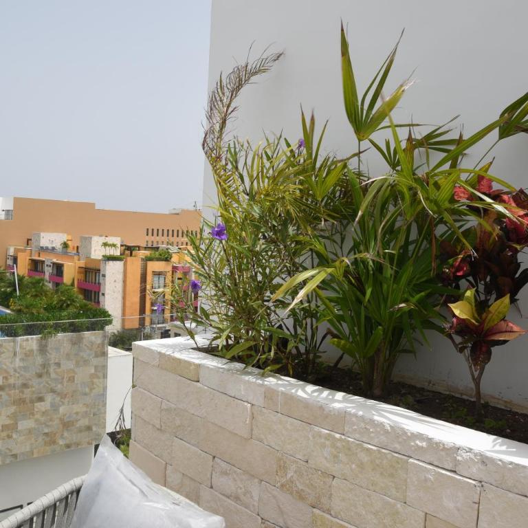 Suites calle 38 - Estudio con cama extragrande y sofá cama - 18