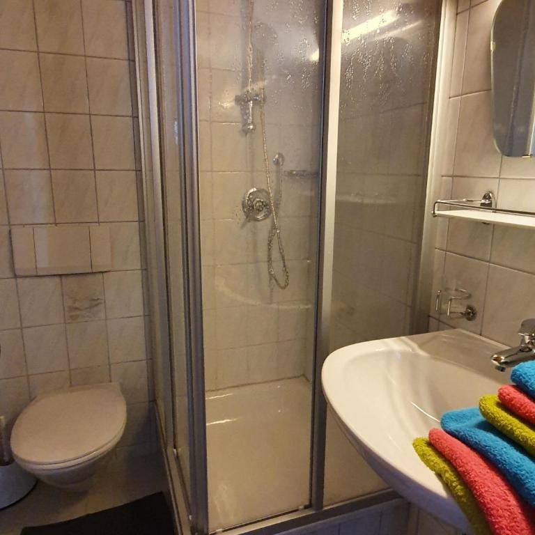 Bauernhof Neu-Endfelden, Günter Widauer - Apartment mit Dusche - 18