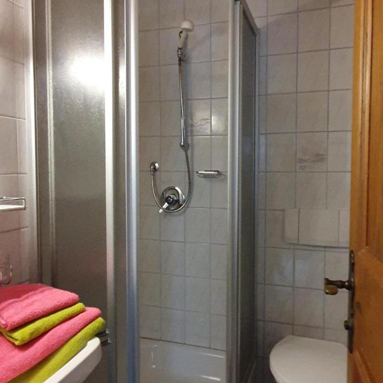Bauernhof Neu-Endfelden, Günter Widauer - Apartment mit Dusche - 20